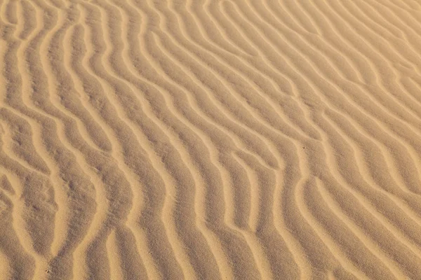 Όμορφη Αμμόλοφους Στην Ανατολή Του Ηλίου Στην Έρημο Sonoran — Φωτογραφία Αρχείου