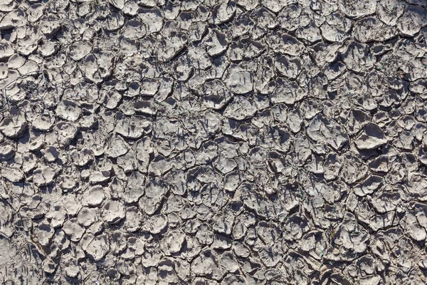 Сухой Глина Пустыне Качестве Символа Фона — стоковое фото