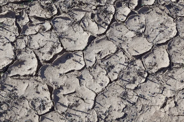 Trockener Lehm Der Wüste Als Symbol Und Hintergrund — Stockfoto