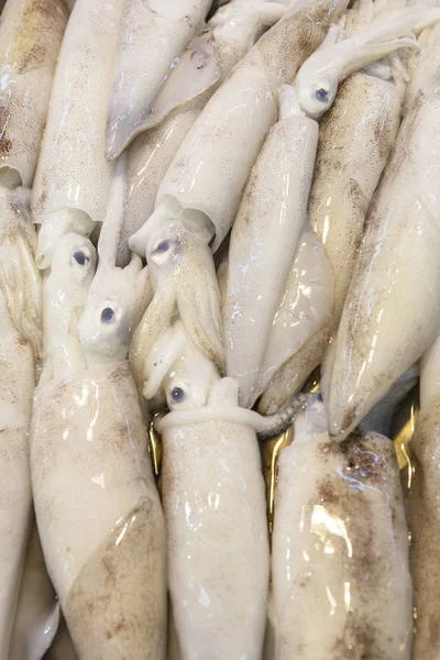 Calamares Frescos Enteros Ofrecen Mercado Pescado Asia — Foto de Stock