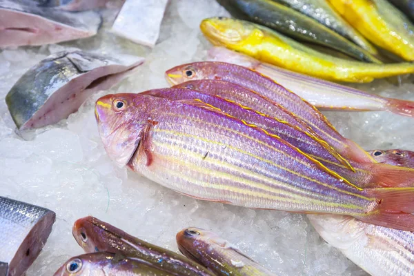 Peces Frescos Enteros Ofrecen Mercado Pescado Asia — Foto de Stock