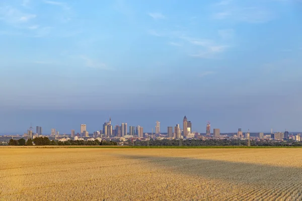 Altın Hasat Alanı Planda Olan Frankfurt Main Manzarası Için Görüntüleyin — Stok fotoğraf