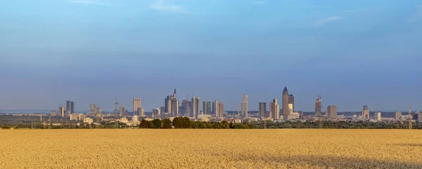 View Skyline Frankfurt Main Golden Harvested Field Foreground — Stock Photo, Image