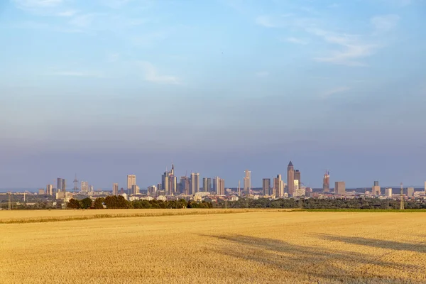 Pohled Panoramatu Frankfurtu Nad Mohanem Zlaté Pole Žních Popředí — Stock fotografie
