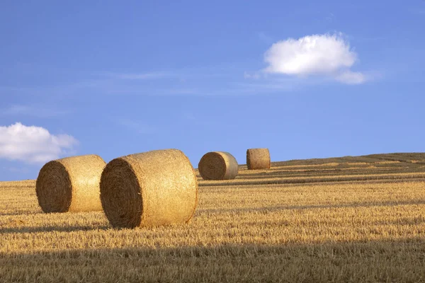 Golden Bale Straw Harvest Field — Stock Photo, Image