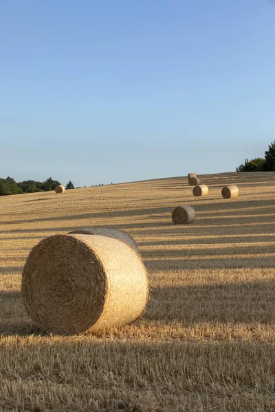 Fardo Dourado Palha Após Colheita Campo — Fotografia de Stock