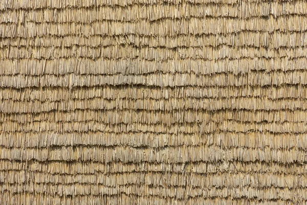 Natural Isolation House Wall Dried Straw — Stock Photo, Image