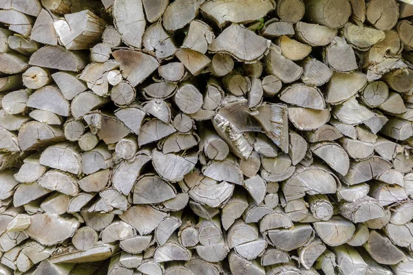 Background Stapled Firewood Drying Forest — Stock Photo, Image