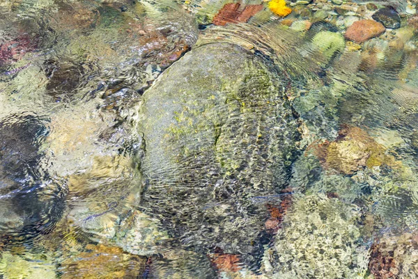 Чистая Вода Реке Джунглях Доменики — стоковое фото