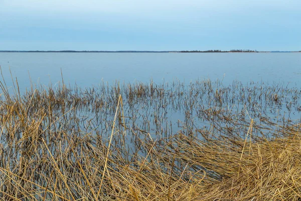Opstuwing Landschap Het Eiland Usedom Met Riet Gras Oostzee — Stockfoto