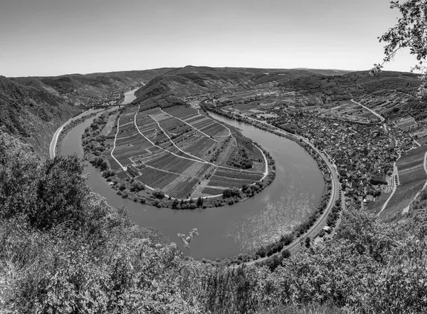 Natursköna Floden Böja Mosel Vid Bremm — Stockfoto