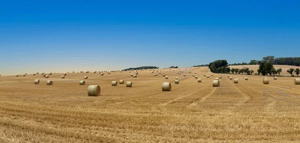 Fardo Dourado Palha Após Colheita Campo — Fotografia de Stock