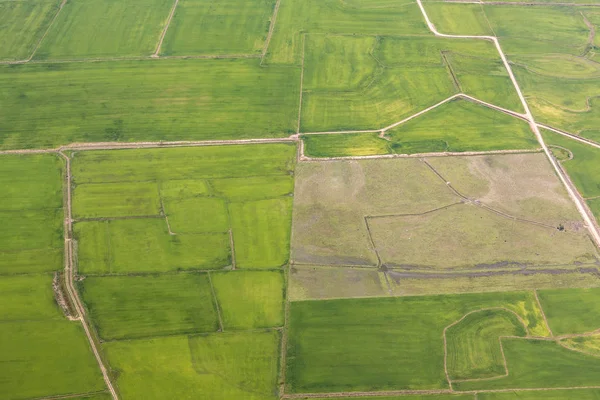 Paysage Rural Avec Champs Verdoyants Près Porto Allegre Brésil — Photo