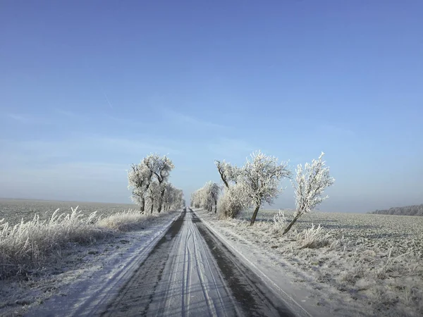 Tom Snötäckta Road Natursköna Vinterlandskap — Stockfoto