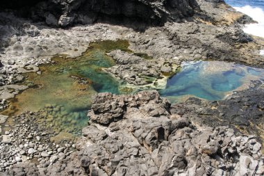 lanzarote doğada coastside doğal havuzda