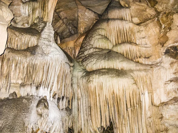 Der Kristallhöhle Mammutbaum Nationalpark — Stockfoto