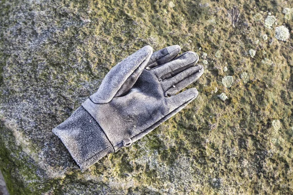 冬の草で一つの冷凍手袋 — ストック写真