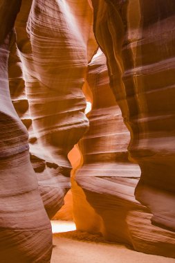 antilop Kanyonu, sayfa arizona yuvası