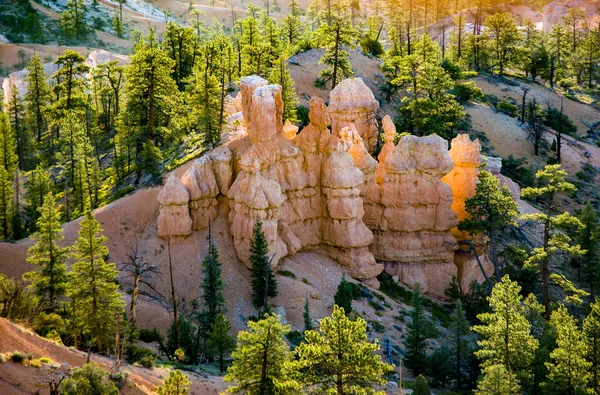 Beau Paysage Dans Bryce Canyon Avec Magnifique Formation Pierre Comme — Photo