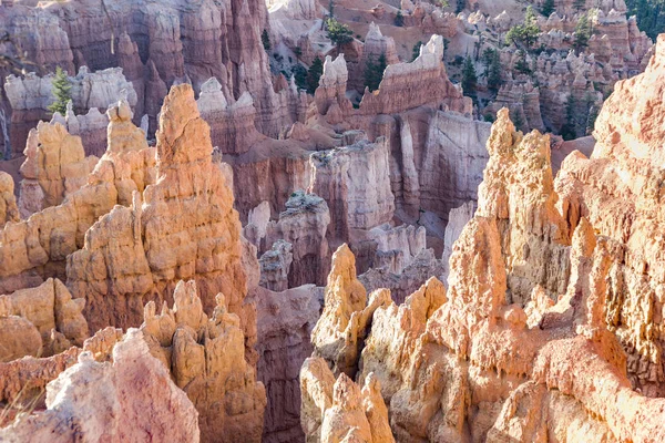 Vackra Landskap Bryce Canyon Med Magnifika Stenbildning Som Amfiteater Tempel — Stockfoto