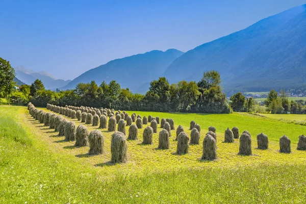 チロリアン アルプス よい臭い草と素晴らしい山々 の美しい風景 — ストック写真