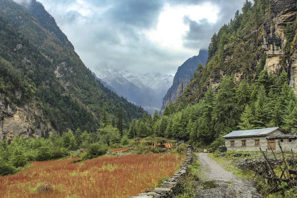 Wanderung Annapurna Heiligtum Der Nähe Von Chame Nepal — Stockfoto