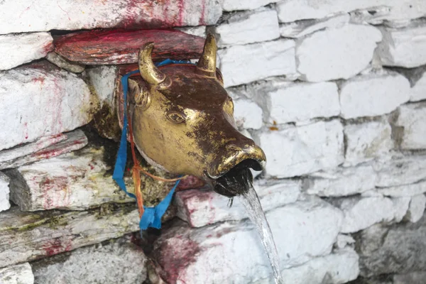 Bull Head Pipe Holy Spring Sacred Muktinath Temple Annapurna Region — Stock Photo, Image