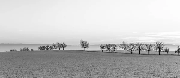 Paisaje Invierno Brillante Con Callejón Árboles Puesta Del Sol —  Fotos de Stock