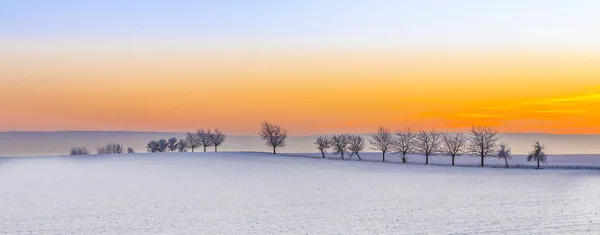 Paisaje Invierno Brillante Con Callejón Árboles Puesta Del Sol — Foto de Stock