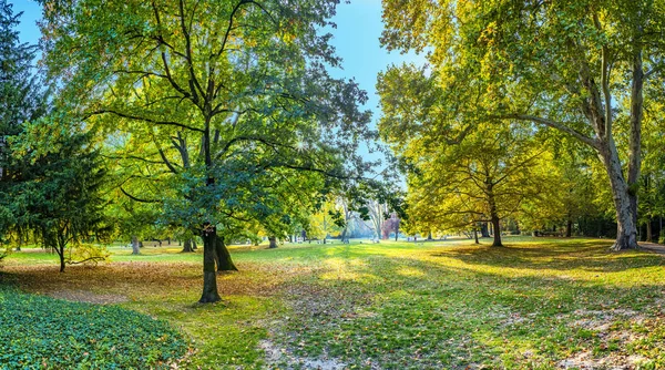 Baum Indischen Sommerfarben Kurpark Wiesbaden — Stockfoto