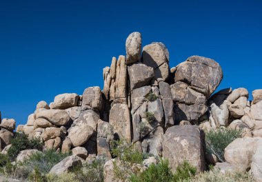 joshua tree national Park gizli Vadisi doğal kayalar