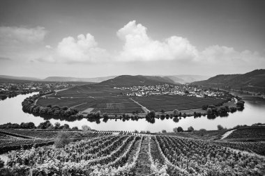 Trittenheim, Almanya 'daki ünlü Moselle Sinuosity