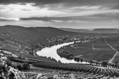 Trittenheim, Almanya 'daki ünlü Moselle Sinuosity