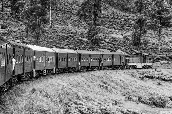 Tren Por Pintoresca Pista Montaña Nuwarelia Colombo —  Fotos de Stock