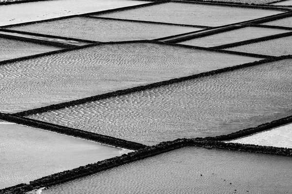 Pilhas Sal Uma Exploração Salina Janubio Lanzarote — Fotografia de Stock