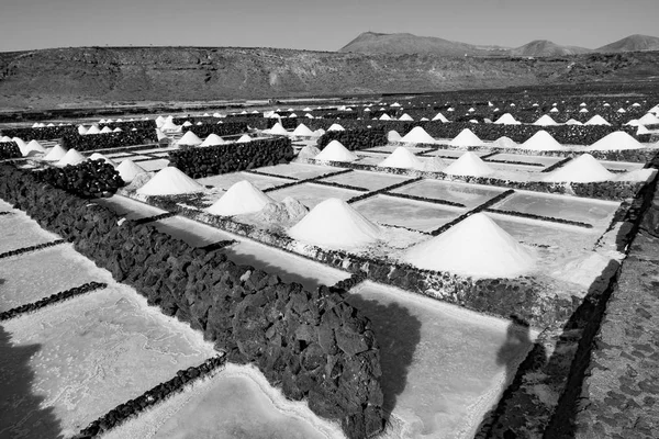 Solný Důl Hromady Staré Historické Roztoku Janubio Lanzarote — Stock fotografie