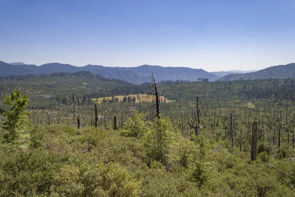 约塞米蒂国家公园森林火灾后的景观 Usa — 图库照片
