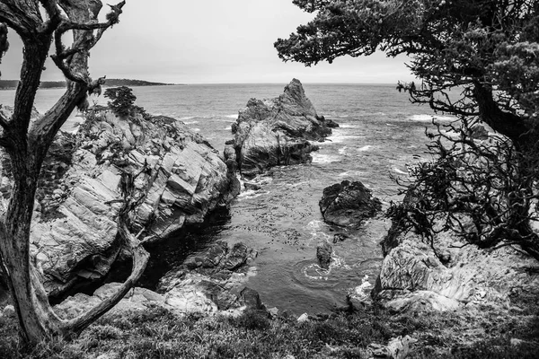 Kypr Cove Stezka Point Lobos Big Sur Coast Kalifornii Usa — Stock fotografie