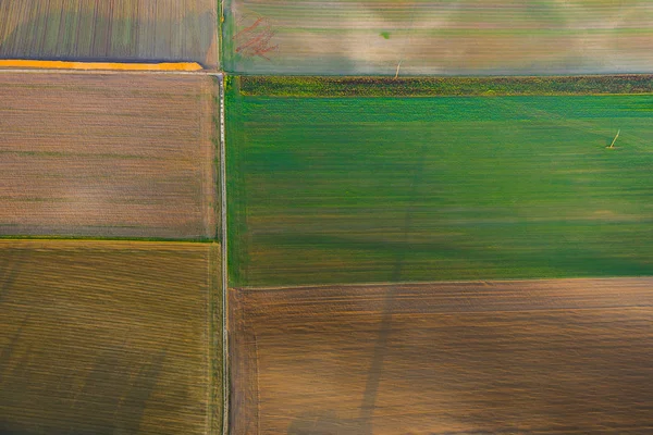 Rurale Landschap Met Acre Van Hete Luchtballon Frankfurt — Stockfoto