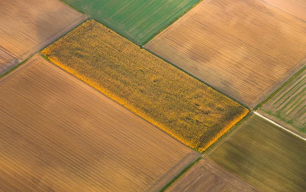 Ländliche Landschaft Mit Hektar Aus Heißluftballon Frankfurt — Stockfoto