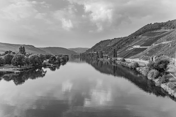 Trittenheim Festői Mosel Völgy — Stock Fotó