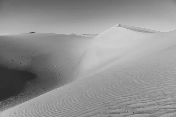 Bella Duna Sabbia All Alba Nel Deserto — Foto Stock