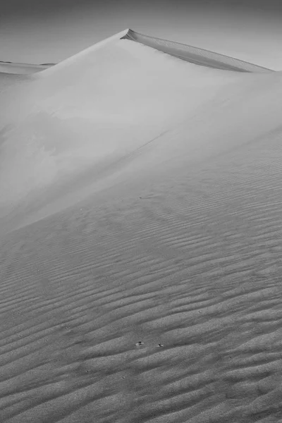 Gyönyörű Homokdűne Napkeltekor Sivatagban — Stock Fotó