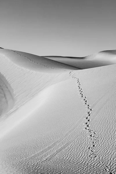 Bela Duna Areia Nascer Sol Deserto Sonoro Com Passos Humanos — Fotografia de Stock