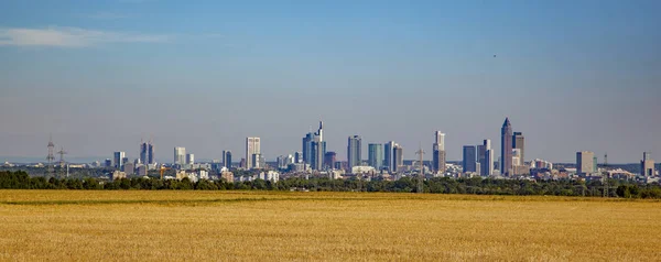 德国美因河畔法兰克福天际线全景 — 图库照片