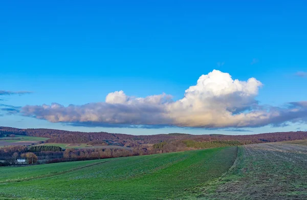 Живописный Сельский Пейзаж Зелеными Полями Голубым Небом — стоковое фото