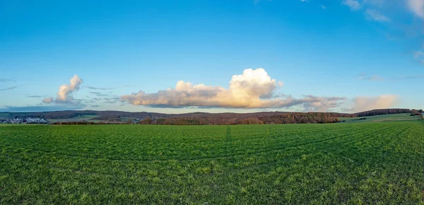 Paisagem Rural Cênica Com Campos Verdes Céu Azul — Fotografia de Stock