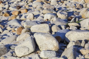 çakıl taşları çakıl plaj Beach, ABD dışarı yıkanmış