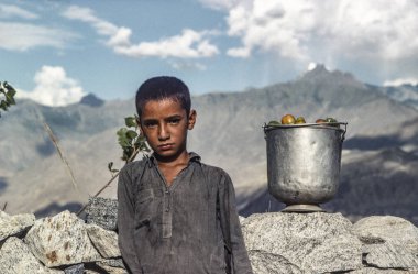 Gilgit, Pakistan - 30 Haziran 1986: yerel çiftçi çocuk eve çekilen olgun domates alır. Çocuk daha küçük çiftliklerde yardım etmelisin.