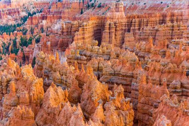 Bryce canyon akşam ışık doğal hoodos